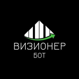 Визионер