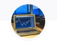 Crypto Shark