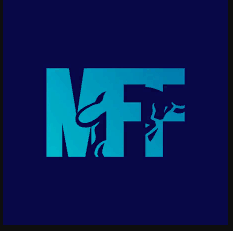 My Forex Funds