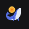 Dex Trader Io