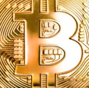 Bitcobid Com