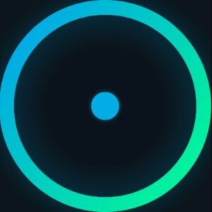 Lsr Crypto