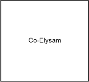 Coelysam