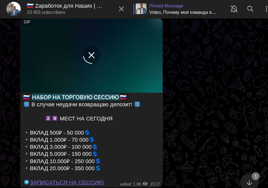 vladimir progress отзывы