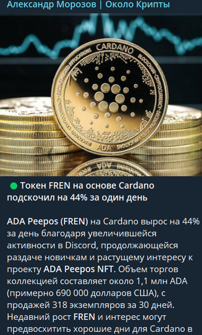 александр морозов тг