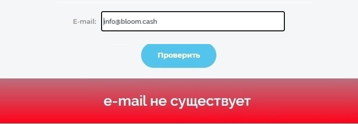 блум кэш