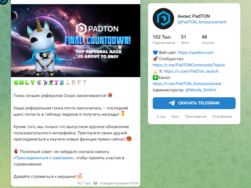 padton обзор игры