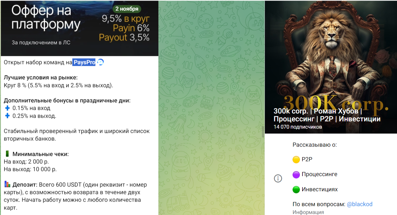 300k corp Роман Хубов Процессинг P2P Инвестиции отзывы