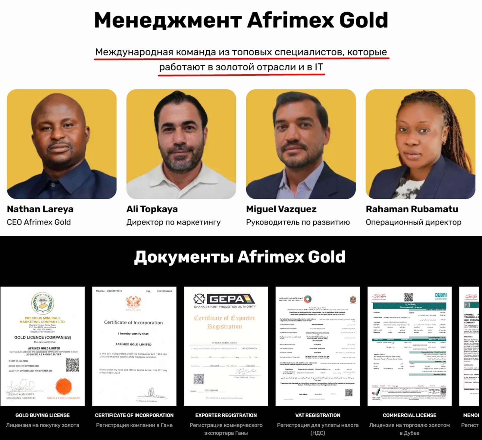 afrimex gold limited