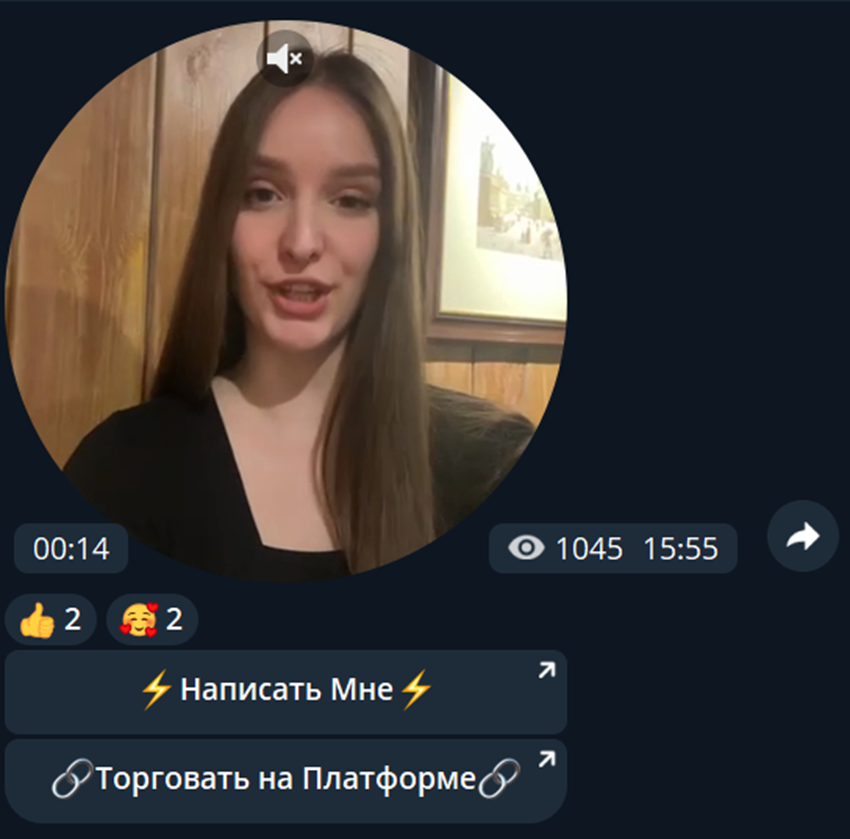 alina trade
