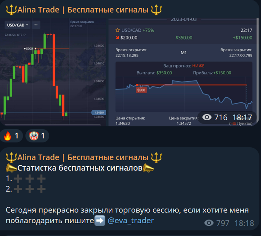 alina trade