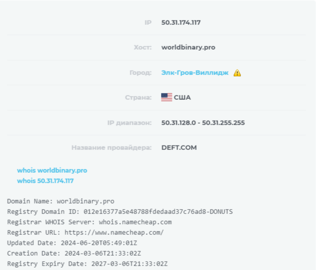 binary world платформа