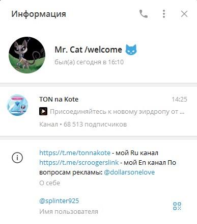 Cat на Тоне