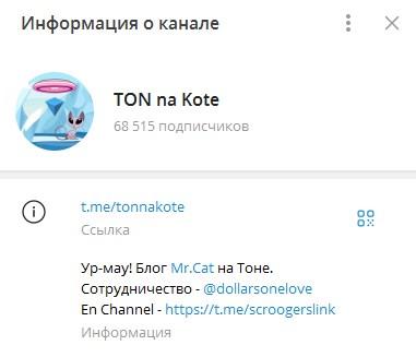 Cat на Тоне