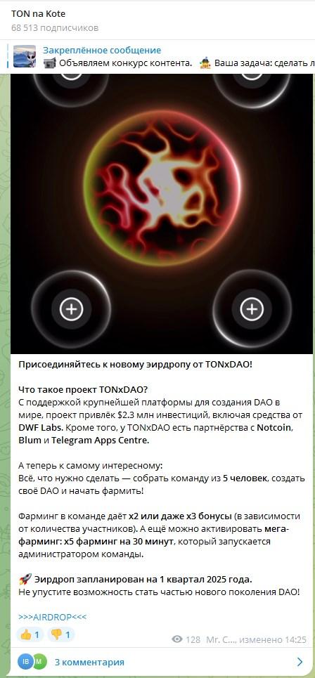 Cat на Тоне
