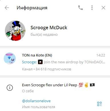 Cat на Тоне