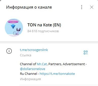Cat на Тоне