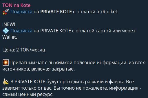 Cat на Тоне