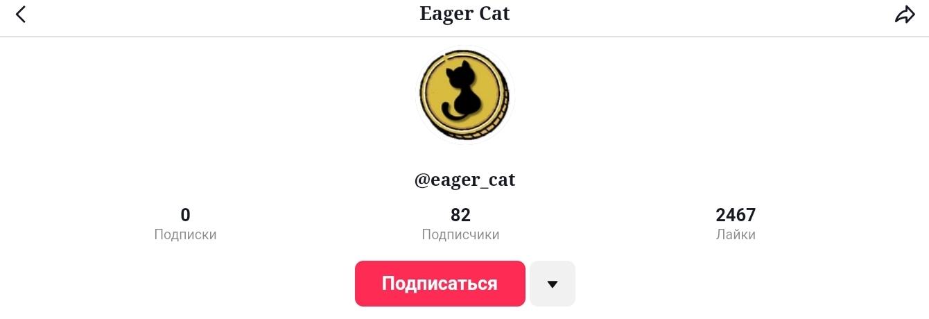 Eager Cat