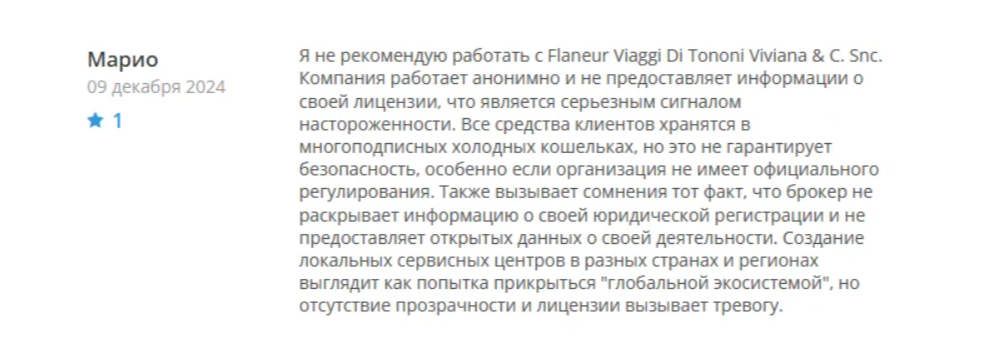 flaneur viaggi com отзывы