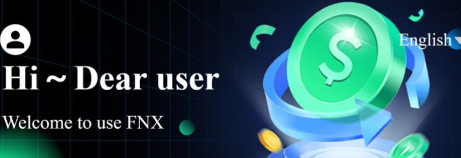 fnxcoin xyz