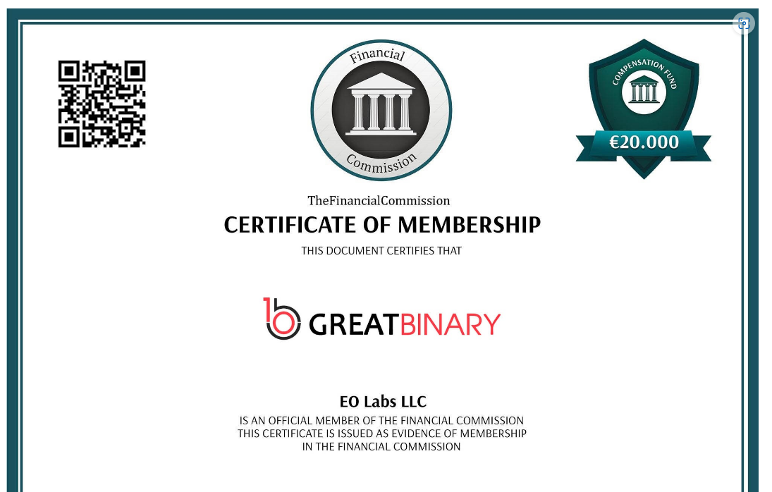 great binary отзывы