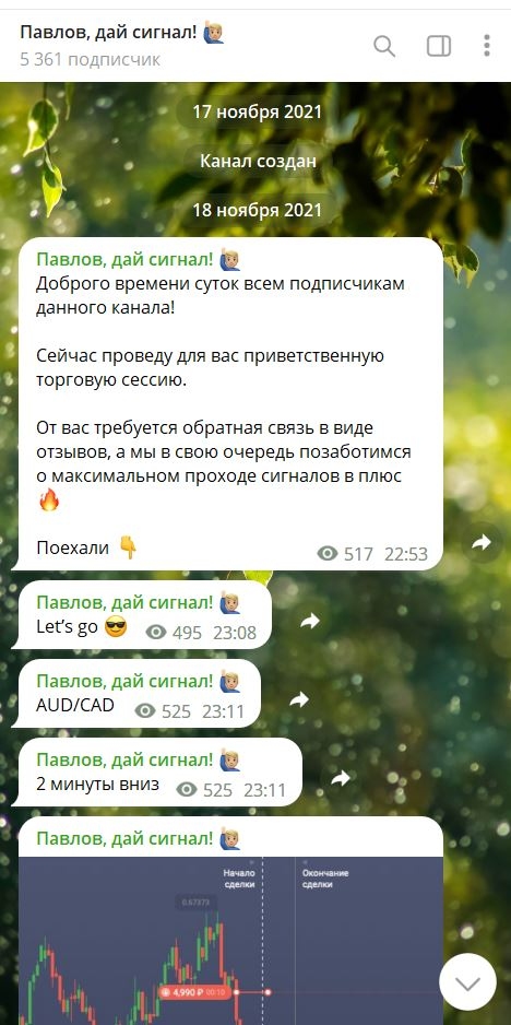 Павлов дай сигнал отзывы
