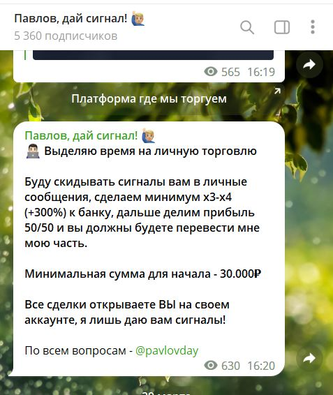 Павлов дай сигнал трейдер