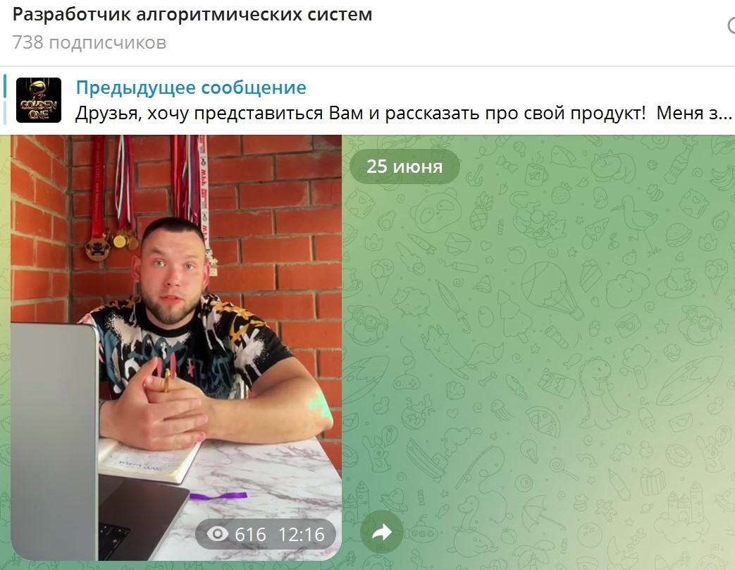 разработчик алгоритмических систем