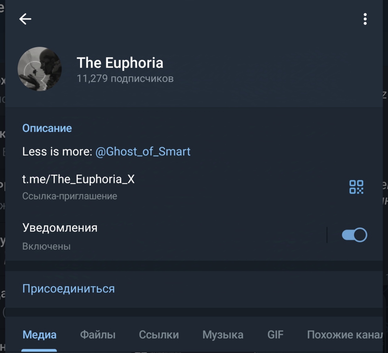 The Euphoria x