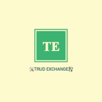 Trudexchange-otzyv