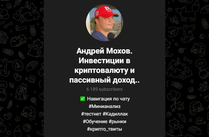андрей мохов инвестиции