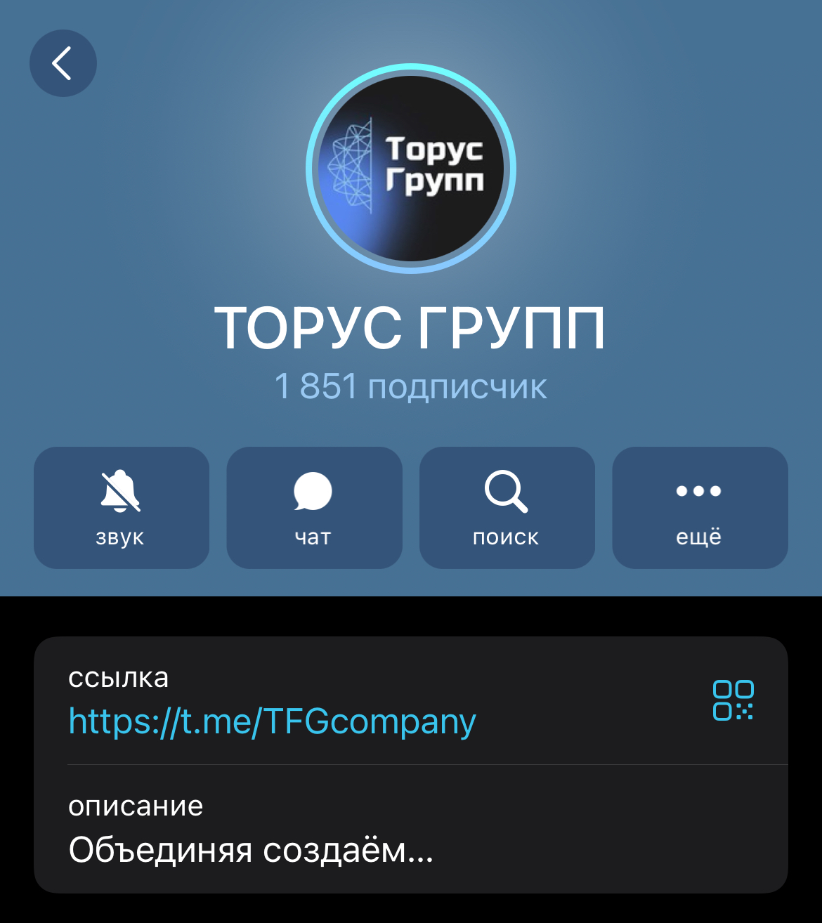 ао торус финанс групп отзывы