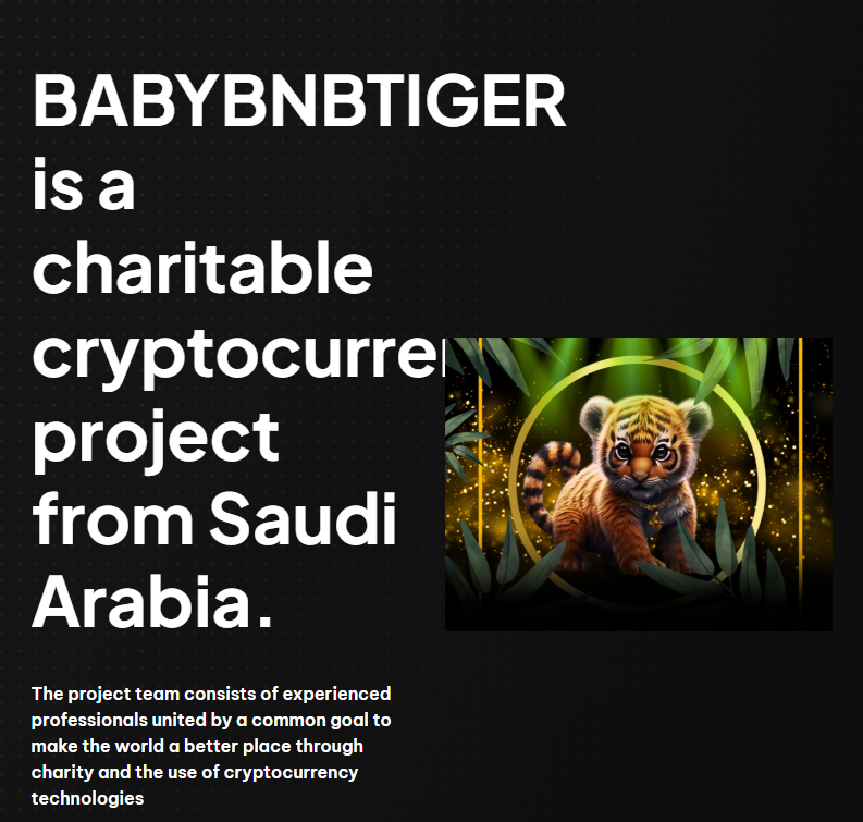 babybnbtiger