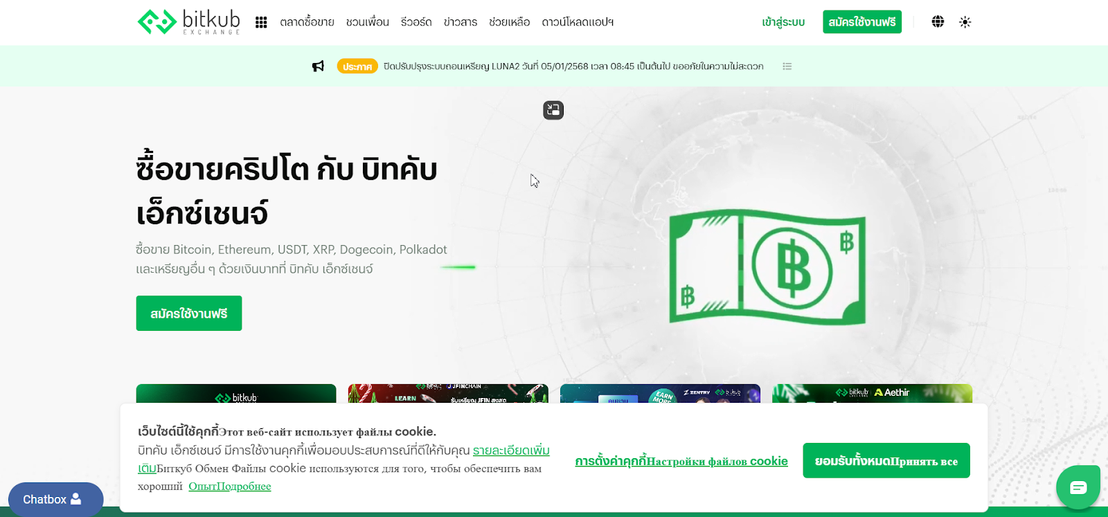 bitkub