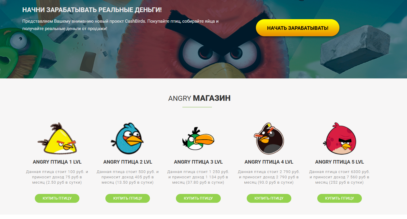 Cash Birds ru