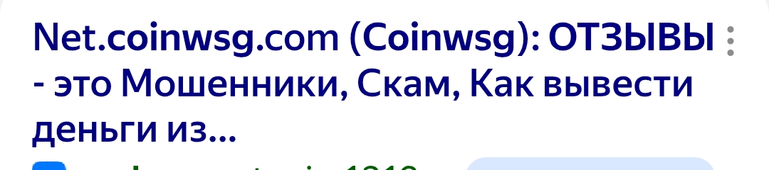 CoinWsg scam