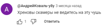 deni grizzly