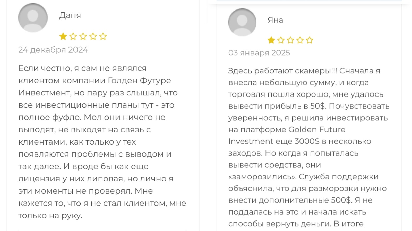 golden future investment