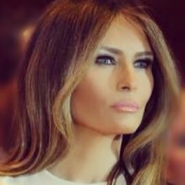 Official Melania Meme