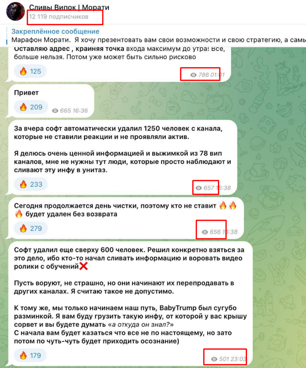 Сливы Випок Морати