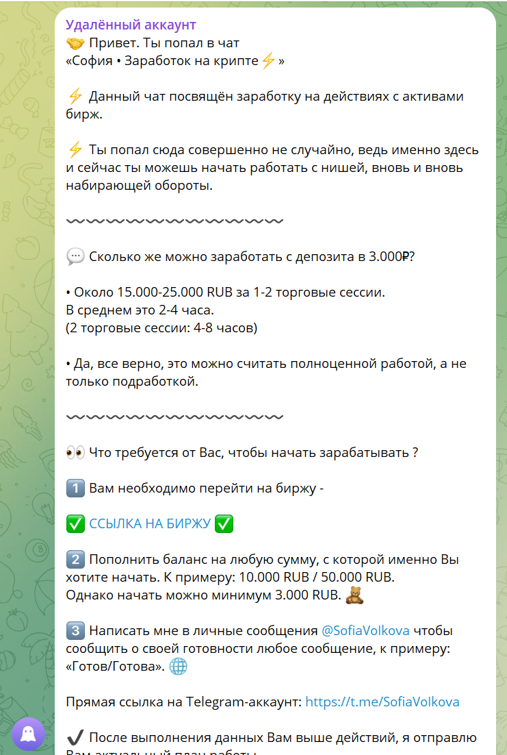 София Волкова трейдер