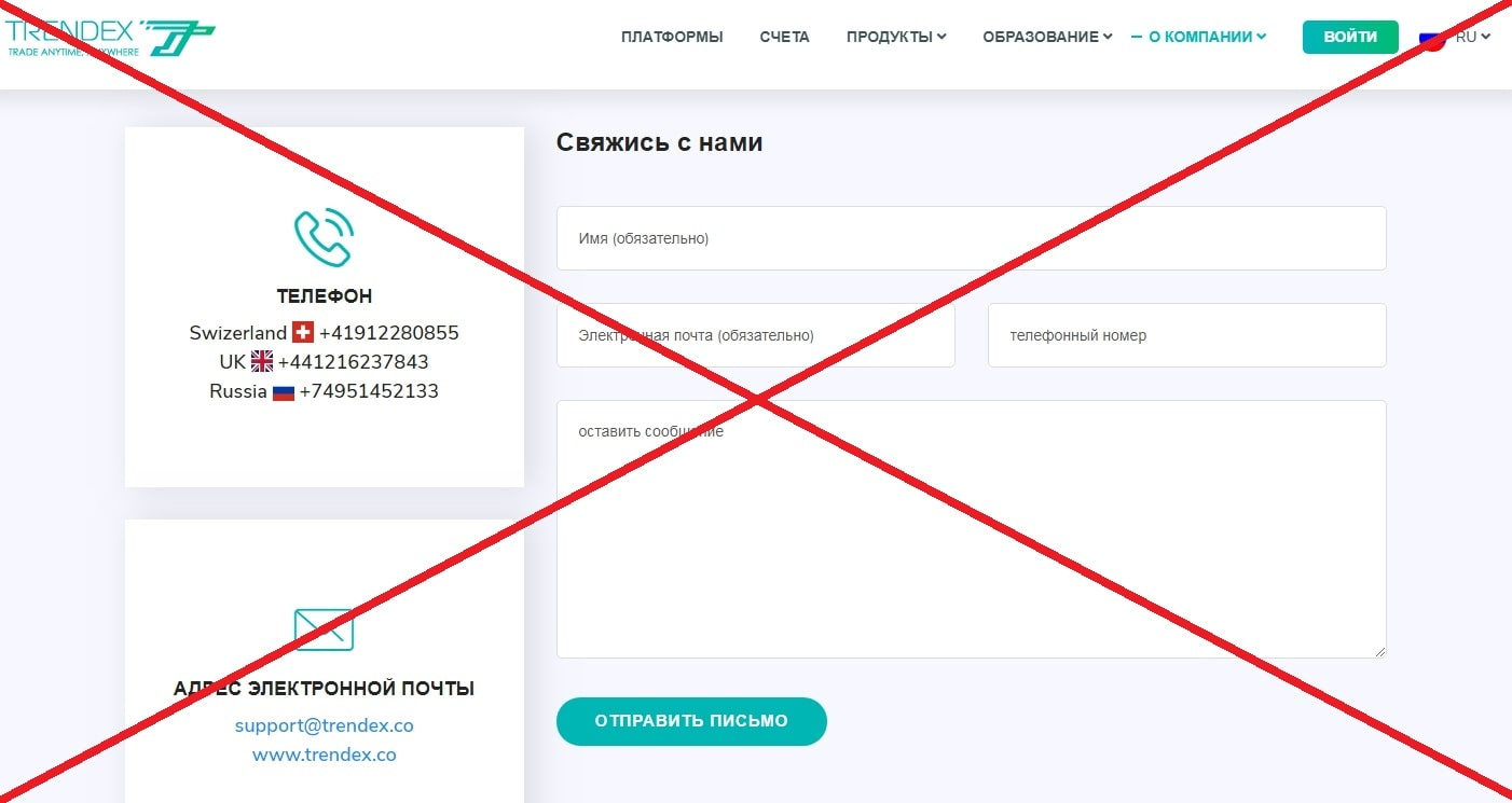 trendex отзывы