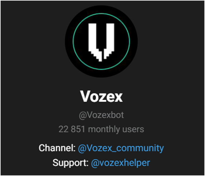 vozex отзывы