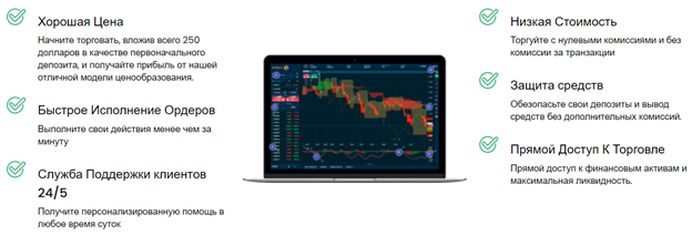 xetra биржа