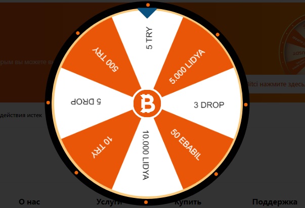 bitci отзывы