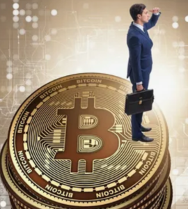 Bits Assets Com