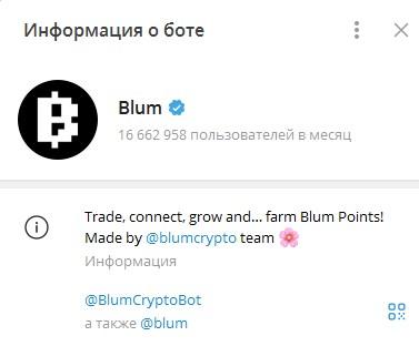 blumcrypto cis chat