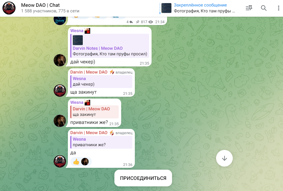 darvin space развод
