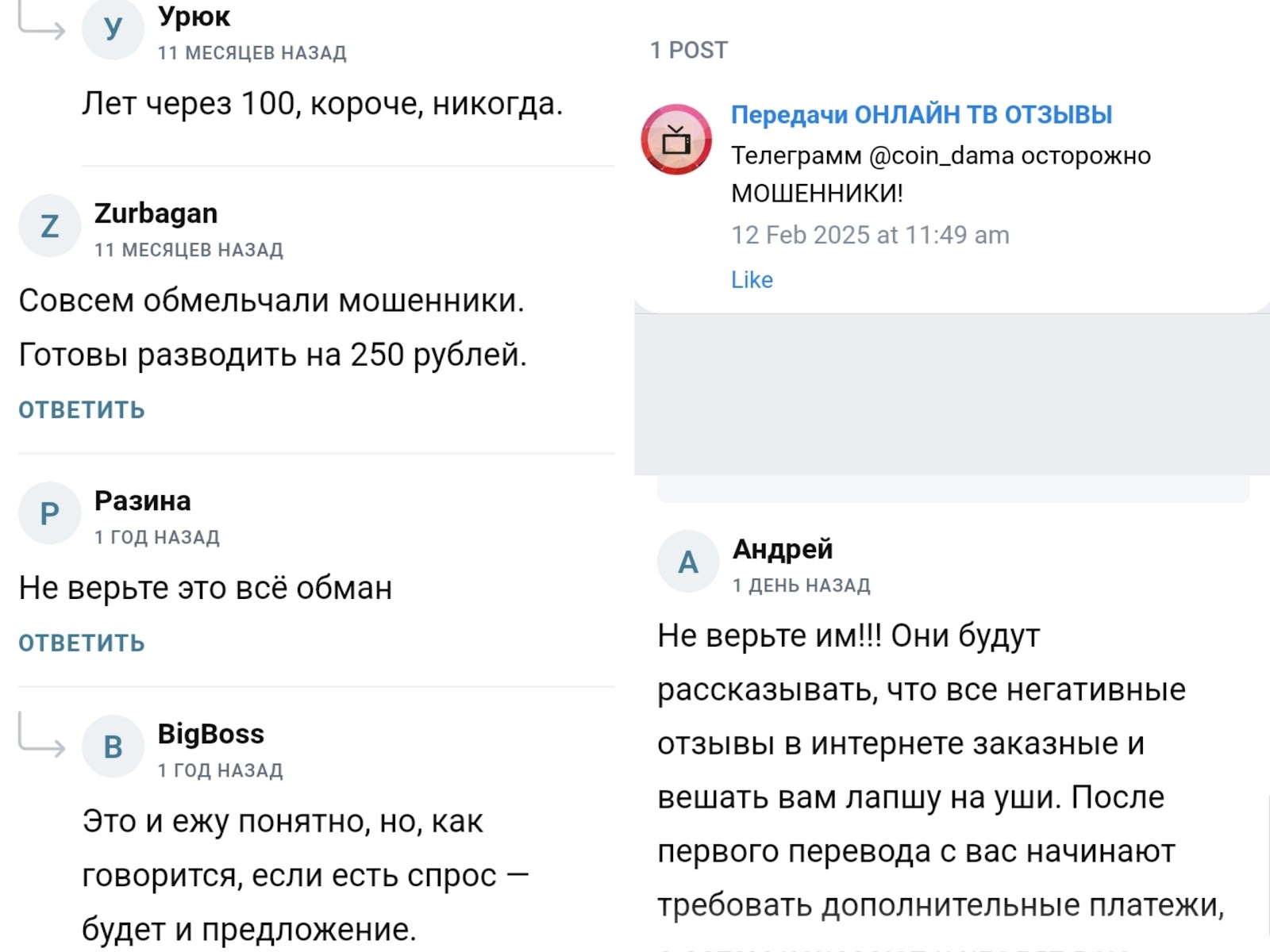 коин дама отзывы